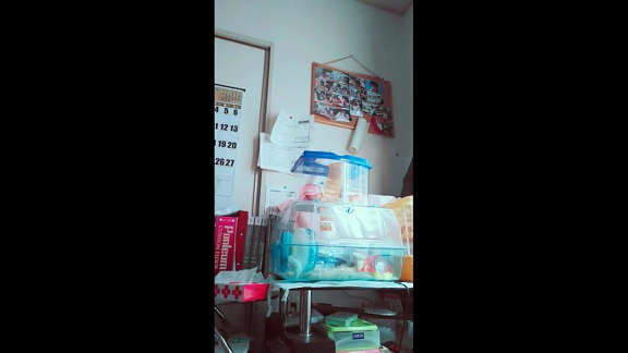 twice好きなS
